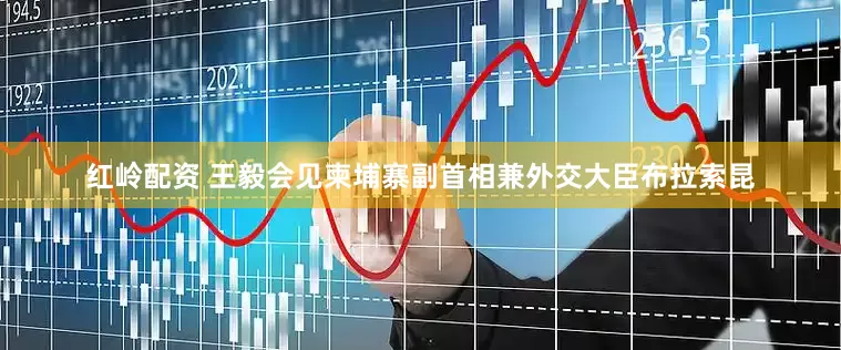红岭配资 王毅会见柬埔寨副首相兼外交大臣布拉索昆