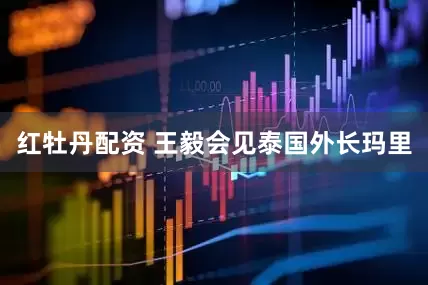 红牡丹配资 王毅会见泰国外长玛里