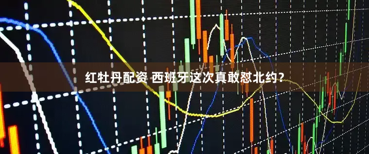 红牡丹配资 西班牙这次真敢怼北约？