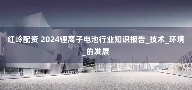 红岭配资 2024锂离子电池行业知识报告_技术_环境_的发展