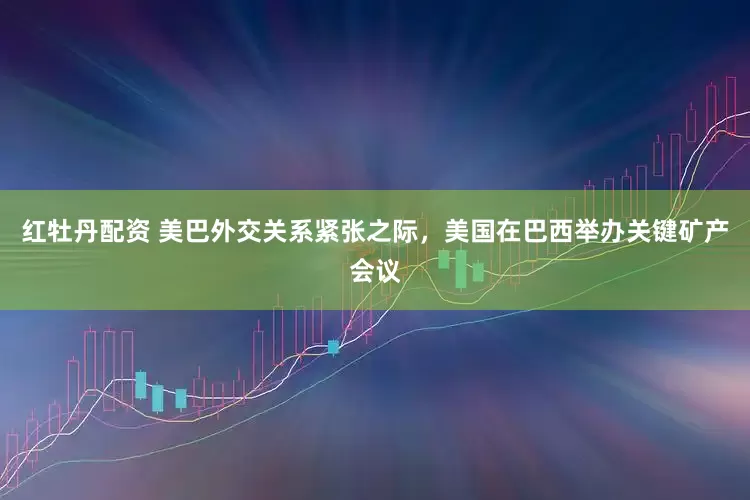 红牡丹配资 美巴外交关系紧张之际，美国在巴西举办关键矿产会议